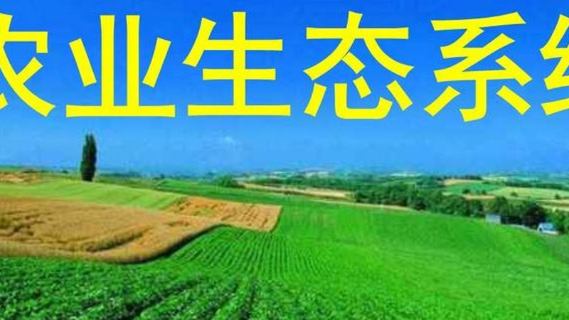 农资批发账期管理：如何平衡现金流与供应商关系**