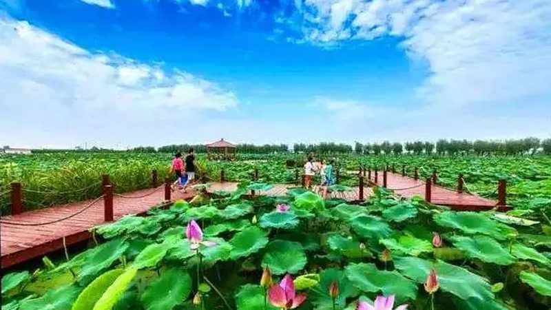 智慧农业种植系统：引领未来农业发展的十大品牌解析