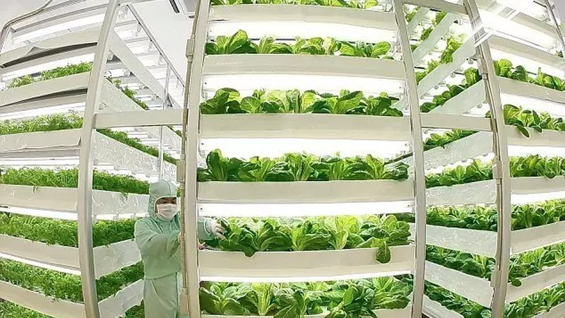 农民专业合作社注册补贴全解析