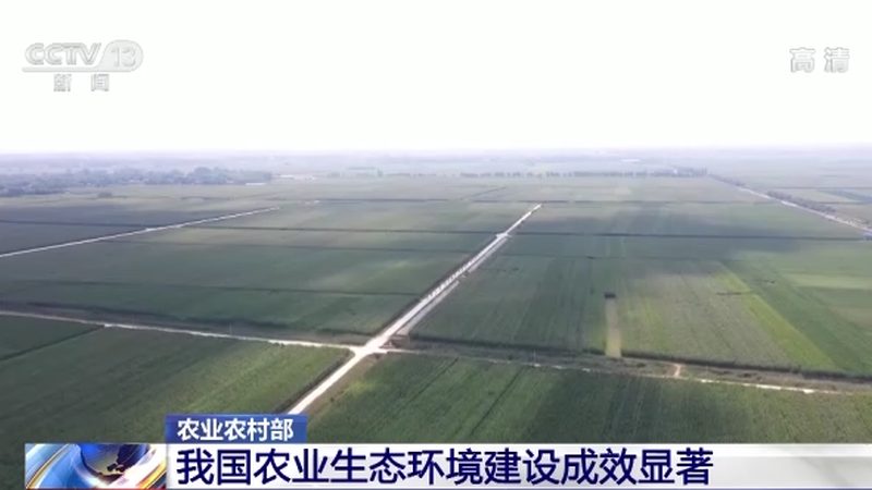 绿色食品认证补贴流程步骤全解析