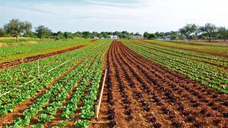 智慧农业种植系统：揭秘其规格型号与选型逻辑