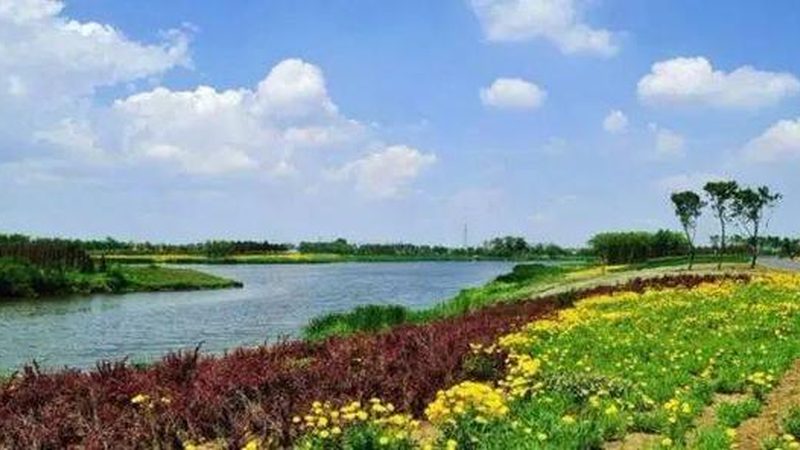 水果种植加盟代理模式解析：模式区别与选择要点