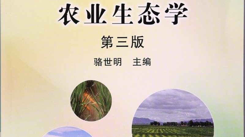 农业产业园农旅融合：如何打造双赢模式**