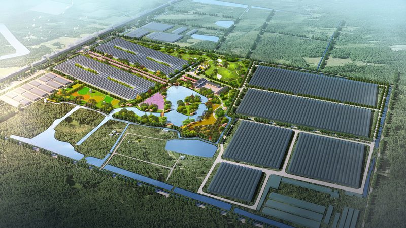 智能温室大棚：农业现代化的关键设施**