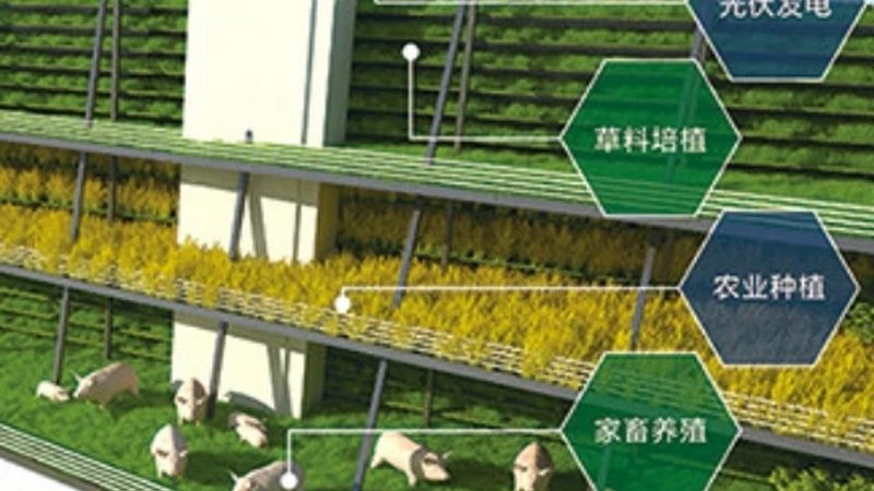 冻品农产品批发价格背后的考量因素