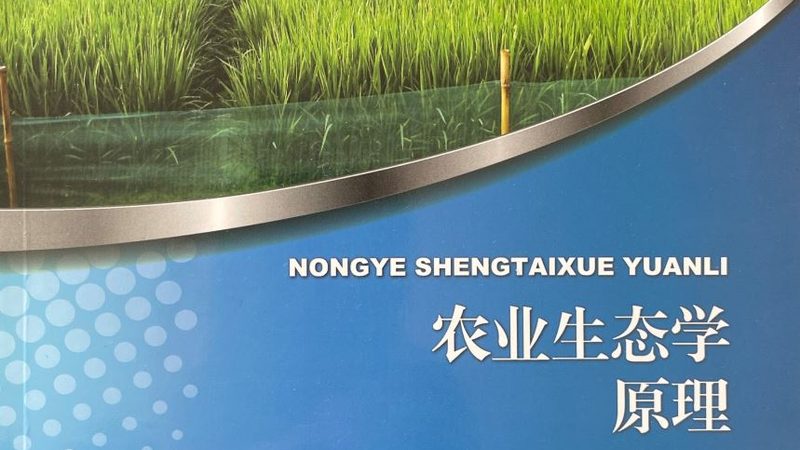 农产品批发供应链管理规范加盟，如何打造高效流通体系？**