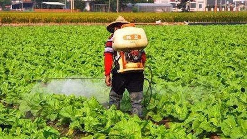 四川农业推广站：技术支持电话，助力农业发展**